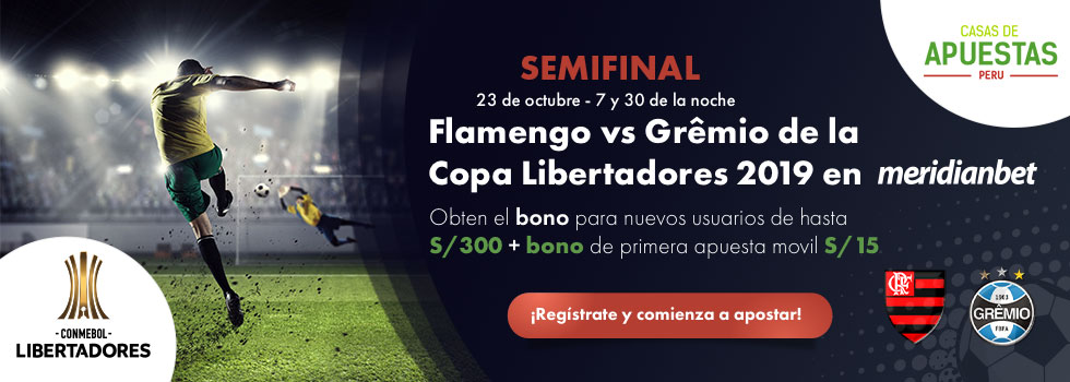 Flamengo vs Gremio Copa Libertadores 2019